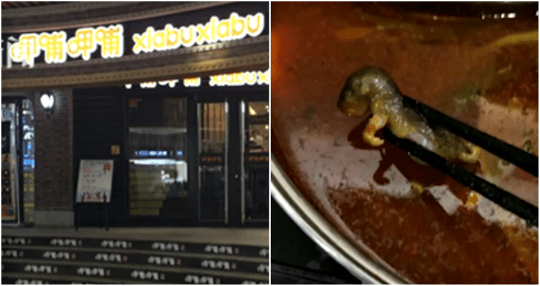 Pregnant Woman Finds Dead Rat in Hot Pot, Restaurant Offers Her Money for an Abortion