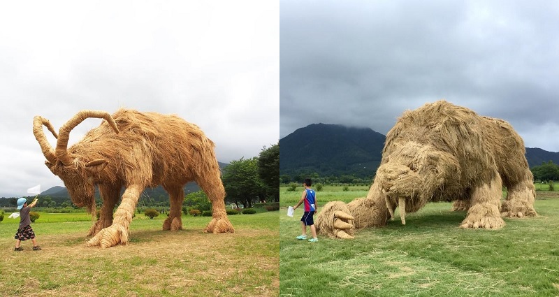 Japanese Farming Tradition Uses Rice Straw to Make Epic Works of Art After Harvests