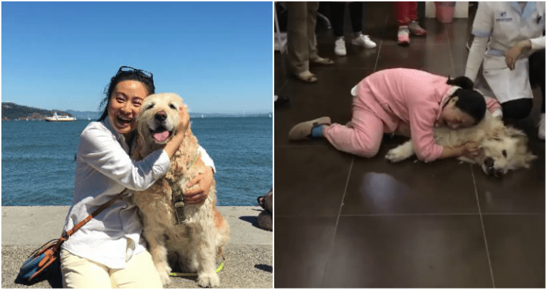 California Woman’s Dog P‌o‌iso‌‌n‌e‌d By ‘Evil’ Neighbors After Moving Back to C‌hi‌n‌a