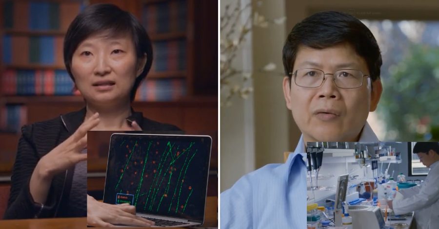 Breakthrough Prize