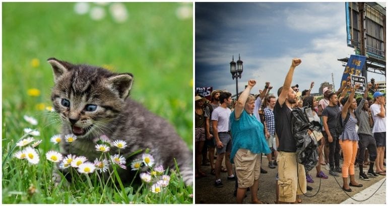Why Asians are ‘Schrödinger’s Minority’