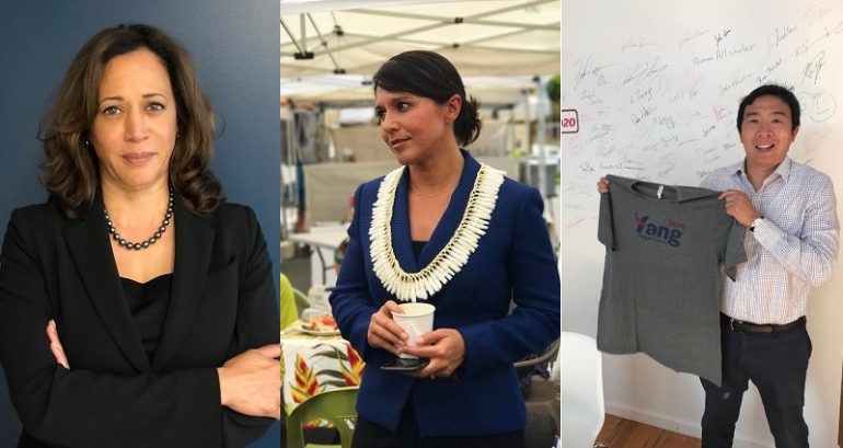 Meet the Asian Americans Who Are Running for President in 2020