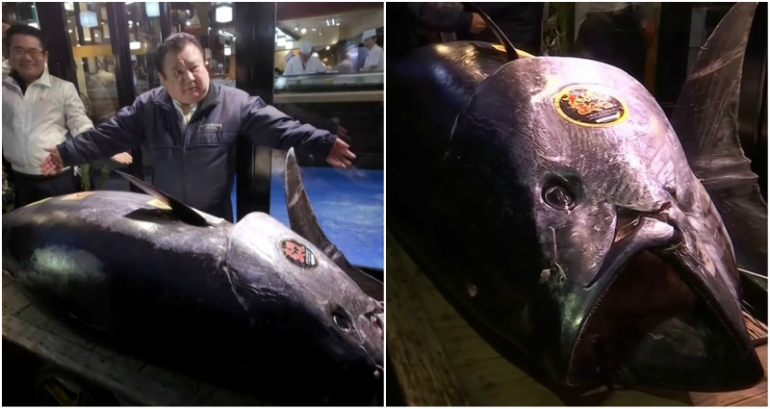 Japan’s ‘Sushi King’ Pays $3.1 Million for Endangered Bluefin Tuna