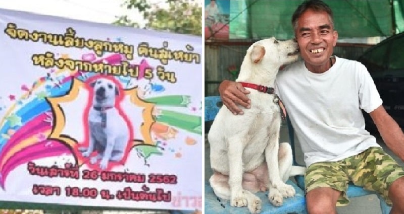 thai dog