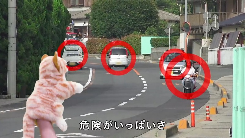 Animal psychologists at Kyoto University have recently launched a public service video to educate cats about traffic safety.