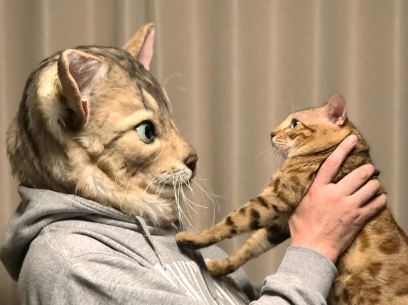 Cat lovers in Japan can now turn themselves into hyper-realistic clones of their pets.