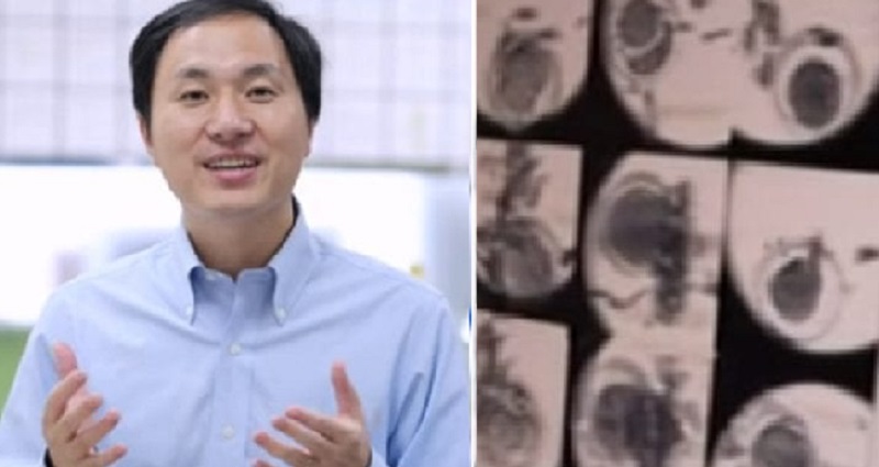 gene edited