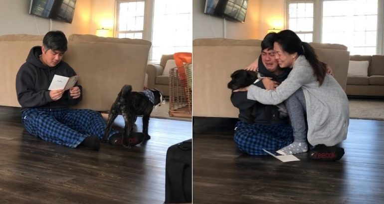 Man Breaks Down and Ugly Cries After Being Told He Can Adopt His Foster Dog