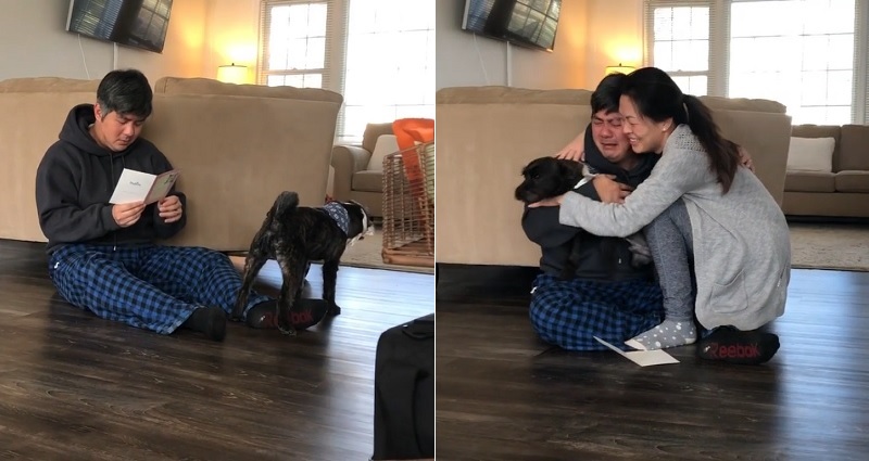 Man Breaks Down and Ugly Cries After Being Told He Can Adopt His Foster Dog