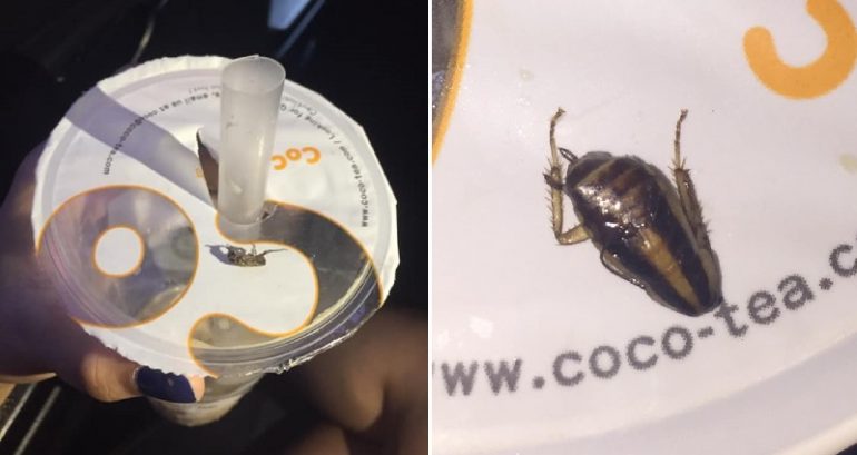 Filipina ‘Milk Tea Lover’ C‌lai‌‌m‌s She Found a Co‌ckr‌oa‌ch in Her CoCo Milk Tea