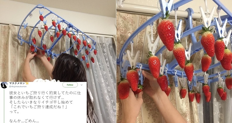 strawberry picking