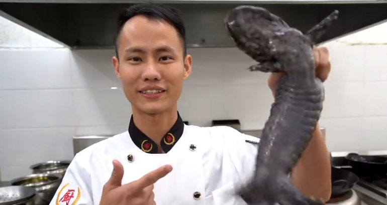 YouTube Chef Blasted After Cooking ‘Endangered’ Salamander
