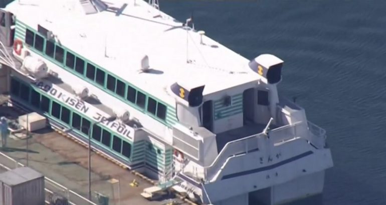 More Than 80 People Injured After Ferry Hits a Whale in Japan