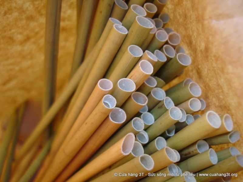 A young Vietnamese man fulfills his part in saving the planet from plastic by making biodegradable straws out of wild grass.