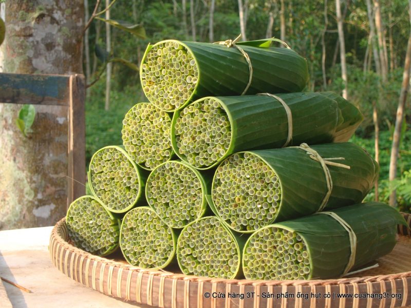 A young Vietnamese man fulfills his part in saving the planet from plastic by making biodegradable straws out of wild grass.