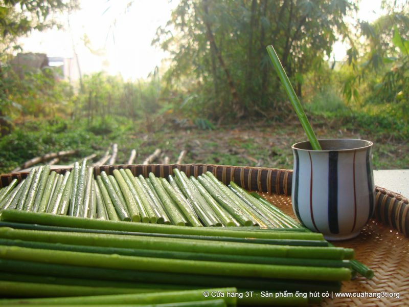 A young Vietnamese man fulfills his part in saving the planet from plastic by making biodegradable straws out of wild grass.