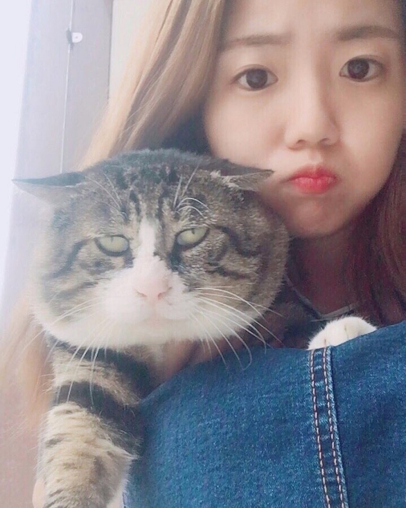 Most people perceive cats as being neutral, graceful animals with little to no expressions at all, but they clearly haven’t met Ah Fei -- a cat that is winning the hearts of many netizens for his expressive and dramatic reactions to random things.