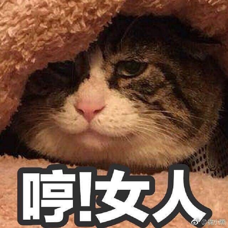 Most people perceive cats as being neutral, graceful animals with little to no expressions at all, but they clearly haven’t met Ah Fei -- a cat that is winning the hearts of many netizens for his expressive and dramatic reactions to random things.