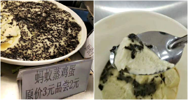 Chinese University Serves Popular Steamed Eggs With ANTS for Extra Crunch