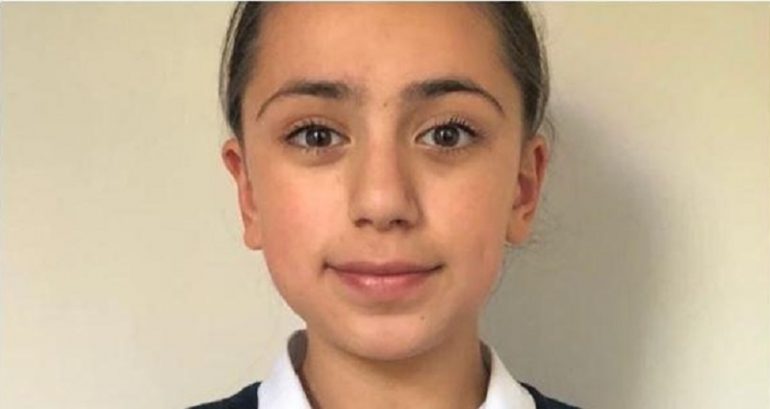 11-Year-Old Iranian Girl Gets the Highest Mensa IQ Score, Beating Einstein, Hawking