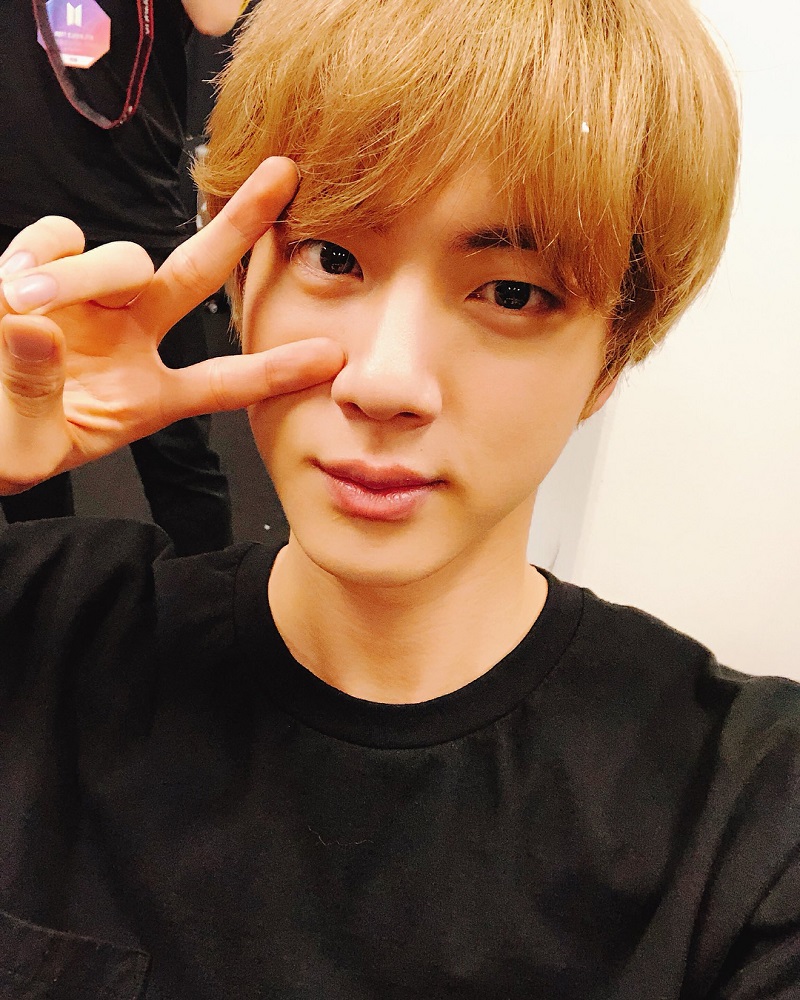 BTS member Jin has apparently become a member of UNICEF’s Honors Club for his donations since last May.