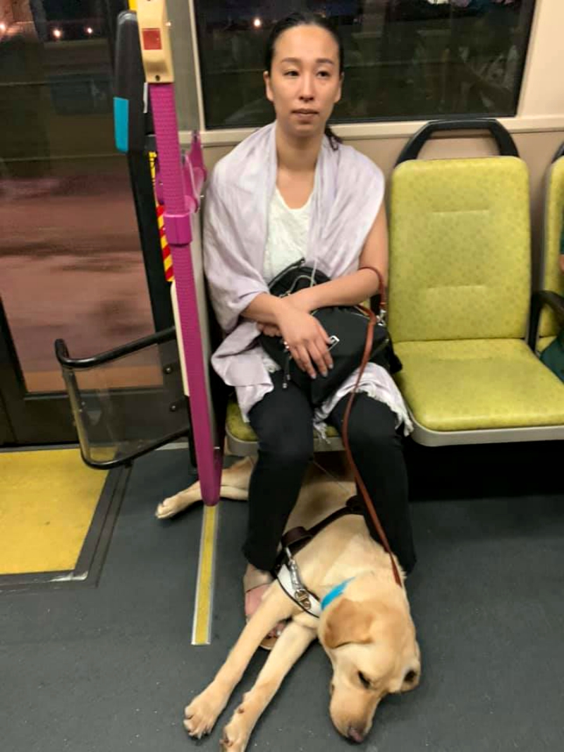 A blind woman commuting with her young daughter and a guide dog in Singapore nearly missed their bus as another passenger became irritated at the sight of the canine and attempted to prevent them from boarding.