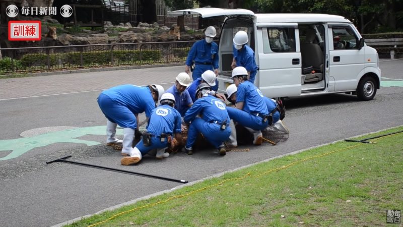 A drill preparing workers at a zoo in Ehima, Japan for an escaped lion has become the laughingstock of the internet over the weekend.