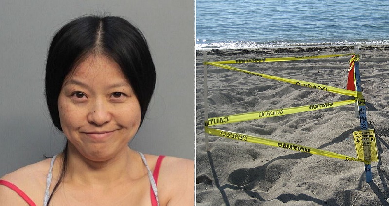 Woman Arrested for Stomping on Sea Turtle Nest in Miami Beach