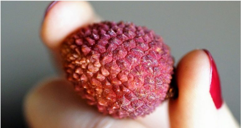 Lychee Toxins Linked to Deaths of 47 Kids in India