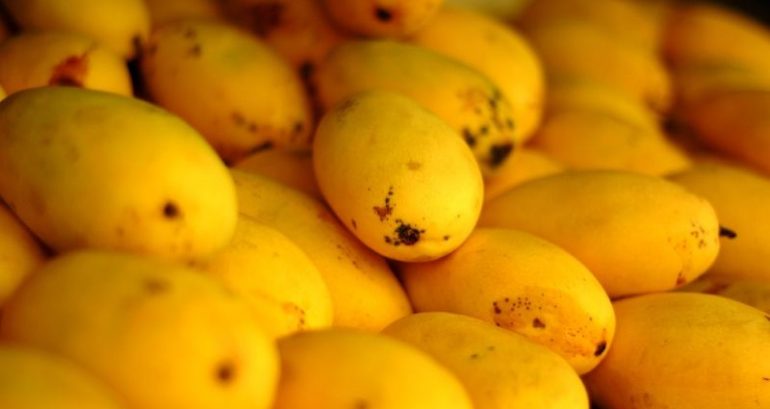 The Philippines Grew 10 Million Extra Mangoes Because of Unusual Warm Weather