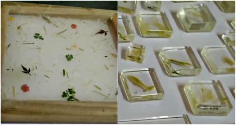 Chinese Zoo Gives Panda Poop Gifts as Souvenirs
