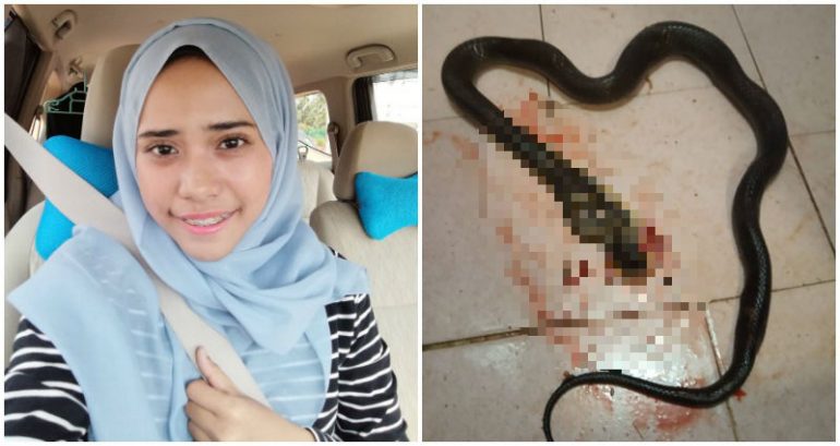 Woman Beats a Cobra to Death With a Ladle After Fighting With Her Boyfriend