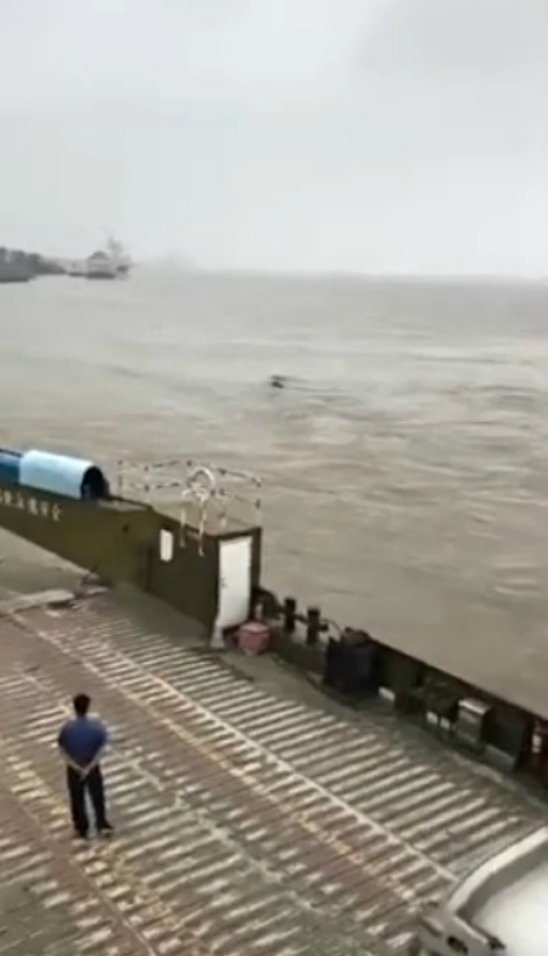 An unknown, serpent-like object slithering up the Yangtze River has social media users speculating that China may have spawned its very own Loch Ness Monster.