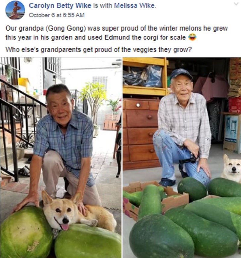 Images of an 89-year-old gong gong (grandpa) posing proudly with his winter melons and adorable corgi have won over thousands of hearts on social media.