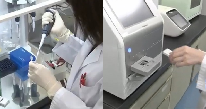 Toshiba