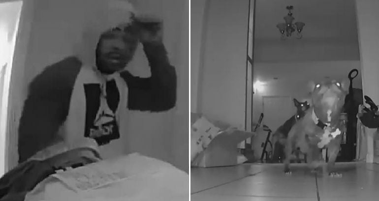Burglars Ransack Asian Family’s Home in Norwalk Just Before Their Wedding