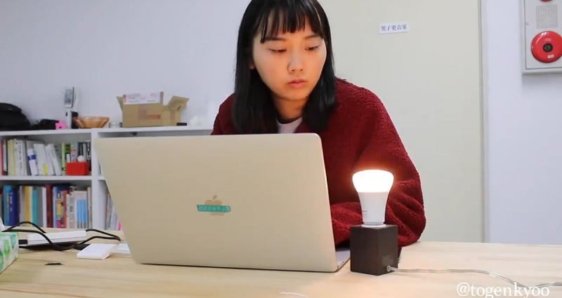 Marina Fujiwara