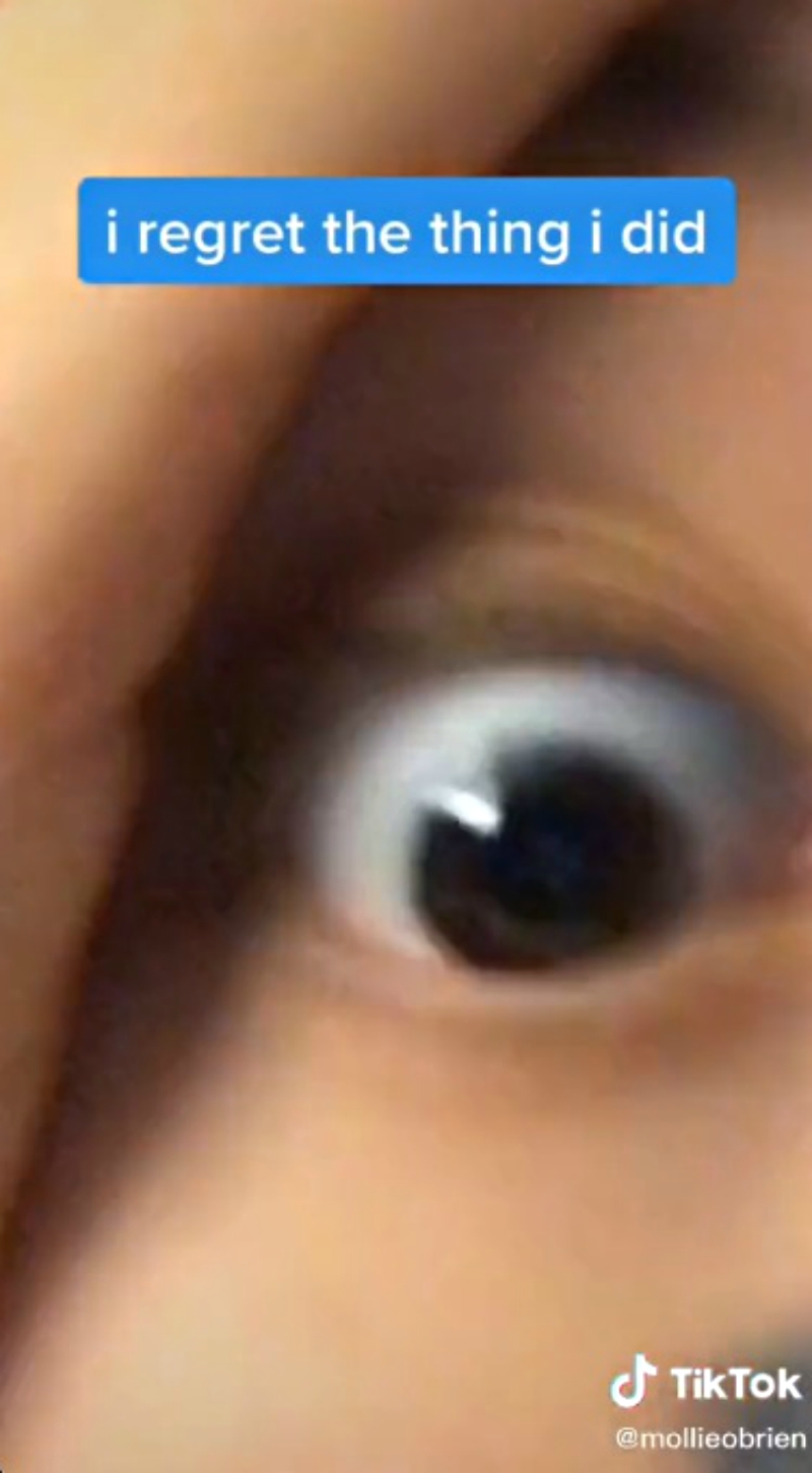TikTok Harmonica