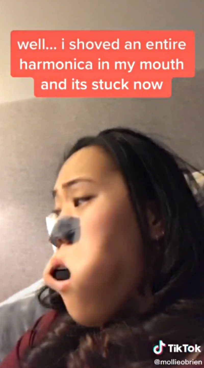 TikTok Harmonica