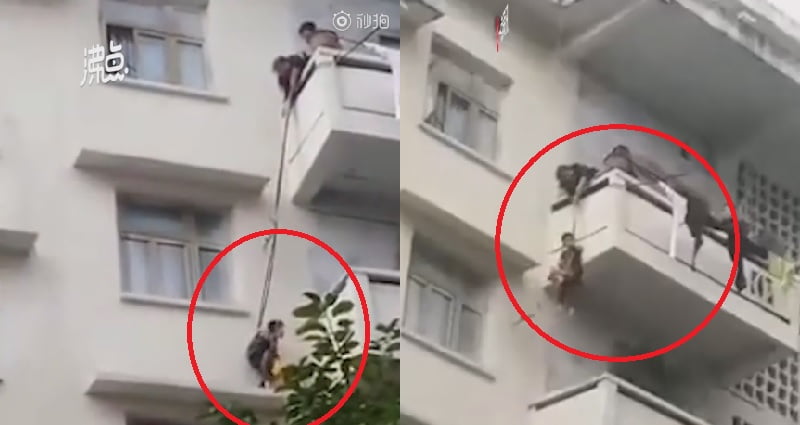 cat rescue
