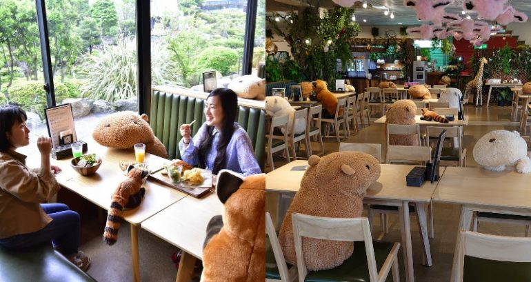 Japanese Zoo Wins at Social Distancing By Using Stuffed Capybaras