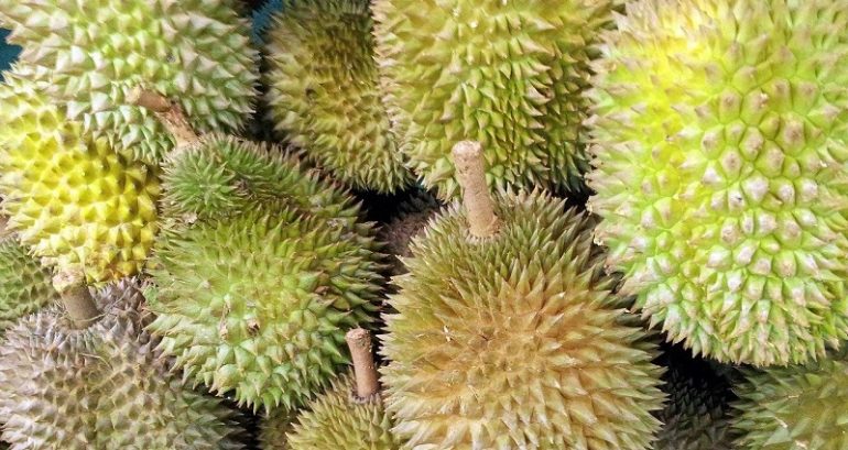 ‘Suspicious’ Package of Durian Puts 6 Postal Workers in Hospital in Germany