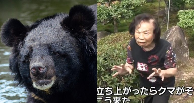‘I Sent It Flying’: Japanese Woman, 82, Fights a Bear in Her Backyard and WINS