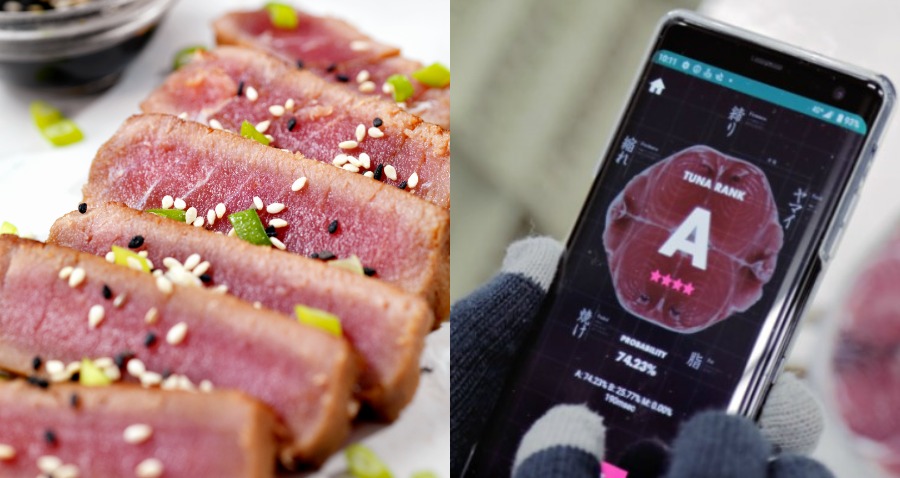 Tuna Scope