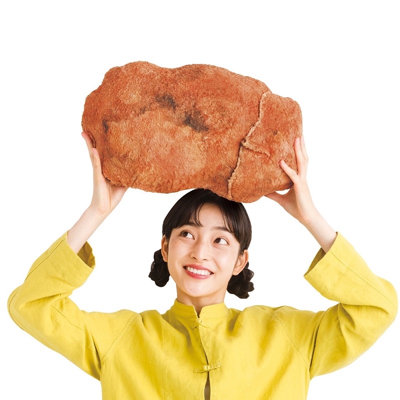 fried chicken pillow