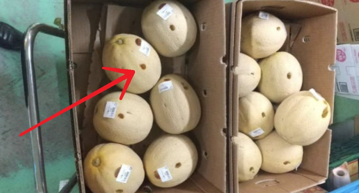 Japanese Woman Arrested After Testing $134 of Melons Too Hard