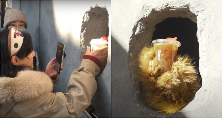 Hard of Hearing Baristas Serve Coffee With ‘Bear Hands’ at Hit Shanghai Café