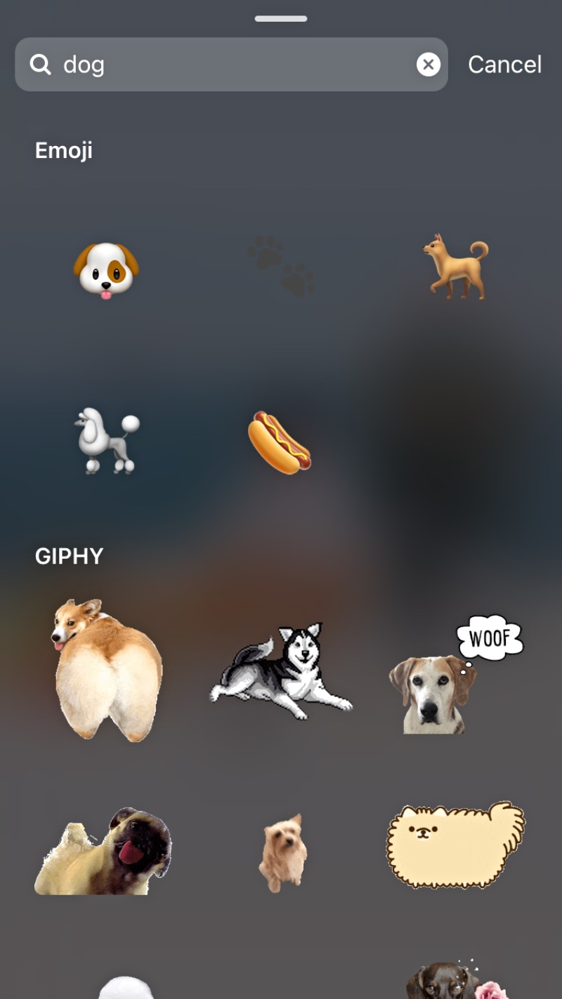 Instagram Finally Removes Chinese Takeout Box Emoji From 'Dog' Search