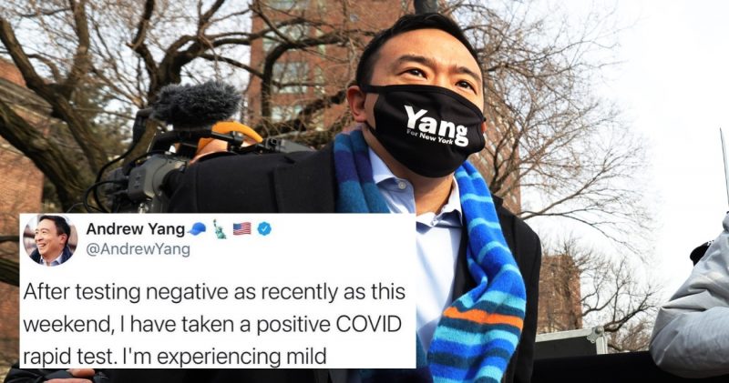 andrew yang