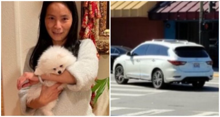 GoFundMe Created by Coworker of Woman Struck by Hit-and-Run Driver in SF